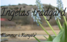 blogg